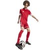 Spodenki adidas SQUADRA 25 JN5456 czerwony 140 cm